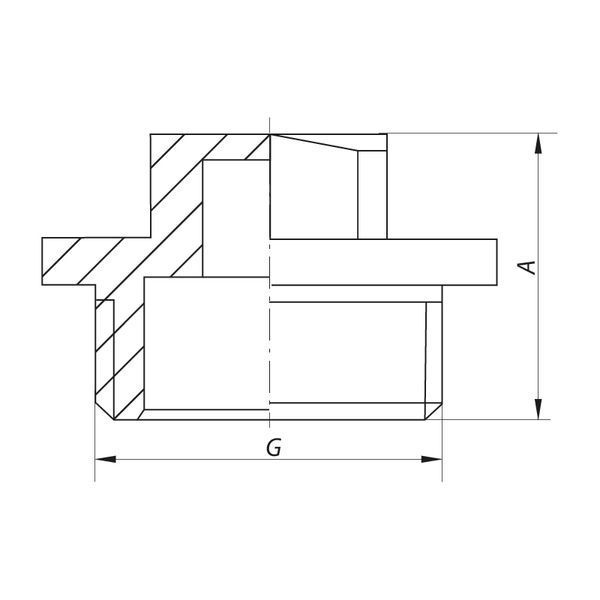 Різьбовий фітинг заглушка 3/4" З Koer KF.P08M (KF0005) KF0005 фото