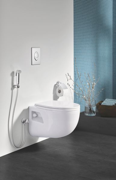 Лійка для гігієнічного душу Grohe Tempesta-F Trigger Spray (27512001) 27512001 фото