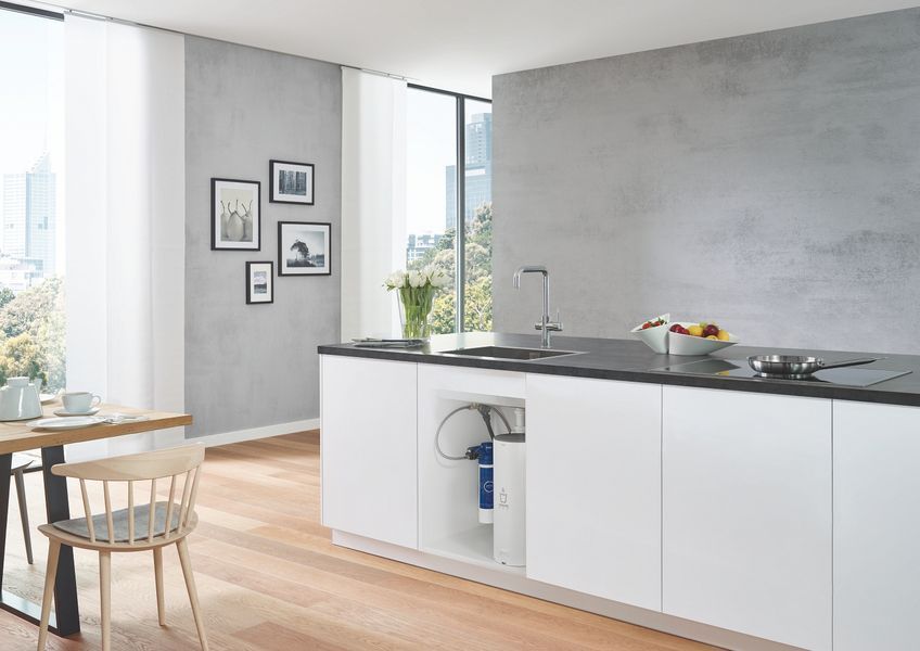 Фільтр, головка для фільтра та витратомір Grohe RED (40438001) 40438001 фото